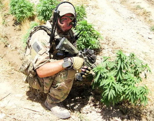 multicam op.. Ganja